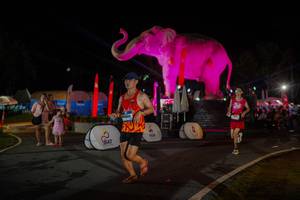 BIB: 
                            <button type="button" onclick="openModal(26552179)" class="btn btn-primary btn-sm float-right btn-popup" data-toggle="modal" data-target=".modal-high-quality">
                        <i class="fas fa-shopping-cart"></i> Add to Cart
                    </button>
                                            <button type="button" onclick="isThisMe(26552179, true)" class="btn btn-success btn-sm float-right btn-popup btn-isme hidden" data-toggle="tooltip" data-placement="bottom" title="นี่คือรูปของคุณใช่ไหม คลิกที่นี่เพื่อเอาเข้าอัลบั้ม">
                        <i class="fas fa-plus"></i> Add to album
                    </button>
                    <button type="button" onclick="isThisMe(26552179, false)" class="btn btn-warning btn-sm float-right btn-popup btn-isnotme hidden">
                        <i class="fas fa-ban"></i> Remove from album
                    </button>